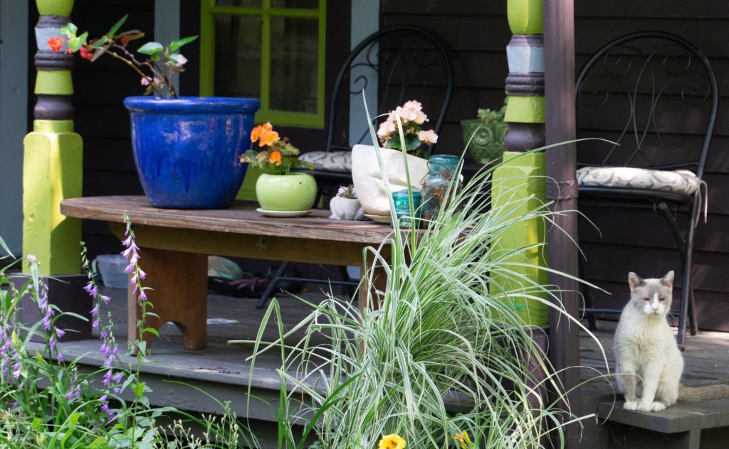 A typical Cottage Home Neighborhood porch, filled with flowers in pots and a watchful cat, was taken by Brad Severance, photographer. Brad Severance/Flickr