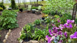 Karen Young's garden at 522 N. Oriental Ave.
